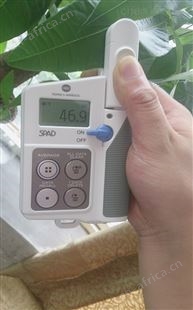柯尼卡美能达SPAD-502PLUS进口叶绿素测定仪