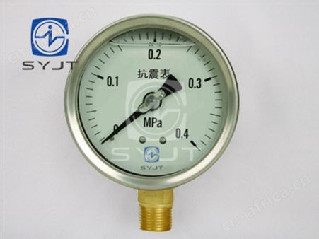 YN系列 (耐震)抗震压力表