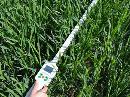 YHC-1叶温差测量仪 植物水分含量测定仪