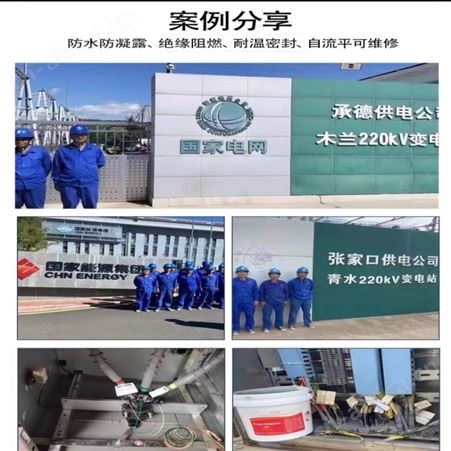 DZXLH002高分子防潮封堵剂批发