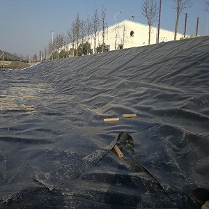 防渗膜水稻(防渗膜水稻种植攻略) 防渗膜水稻(防渗膜水稻种植攻略)